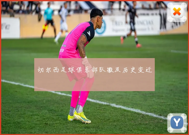 切尔西足球俱乐部队徽及历史变迁