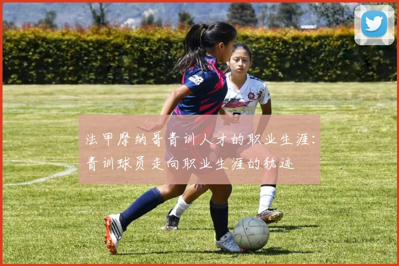 法甲摩纳哥青训人才的职业生涯：青训球员走向职业生涯的轨迹