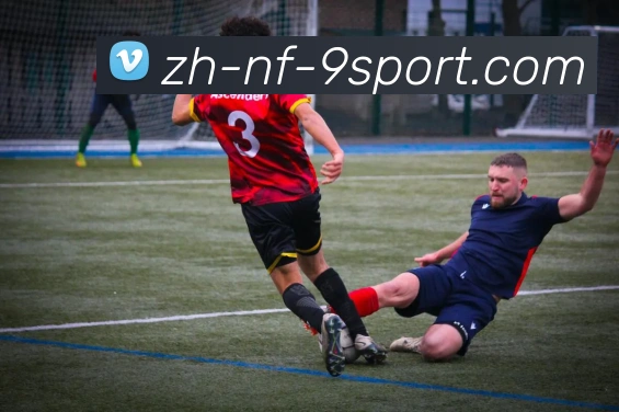 J9九游发展历程