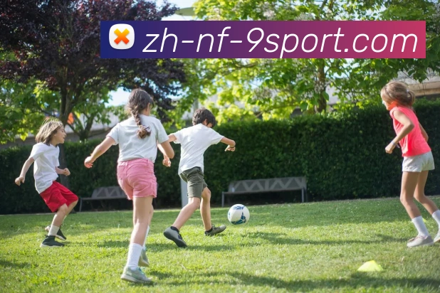 法甲进攻战术研究及球队战术调整策略